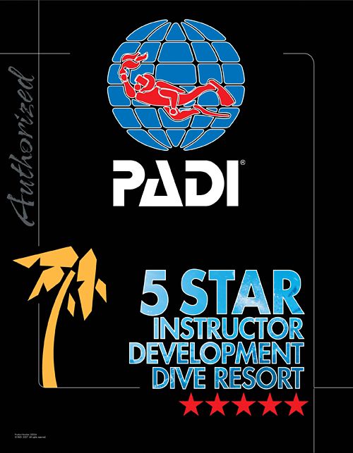 【インストラクターが本音で解説】ダイビングライセンスの指導団体は「PADI」を選ぶべき、5つの理由。