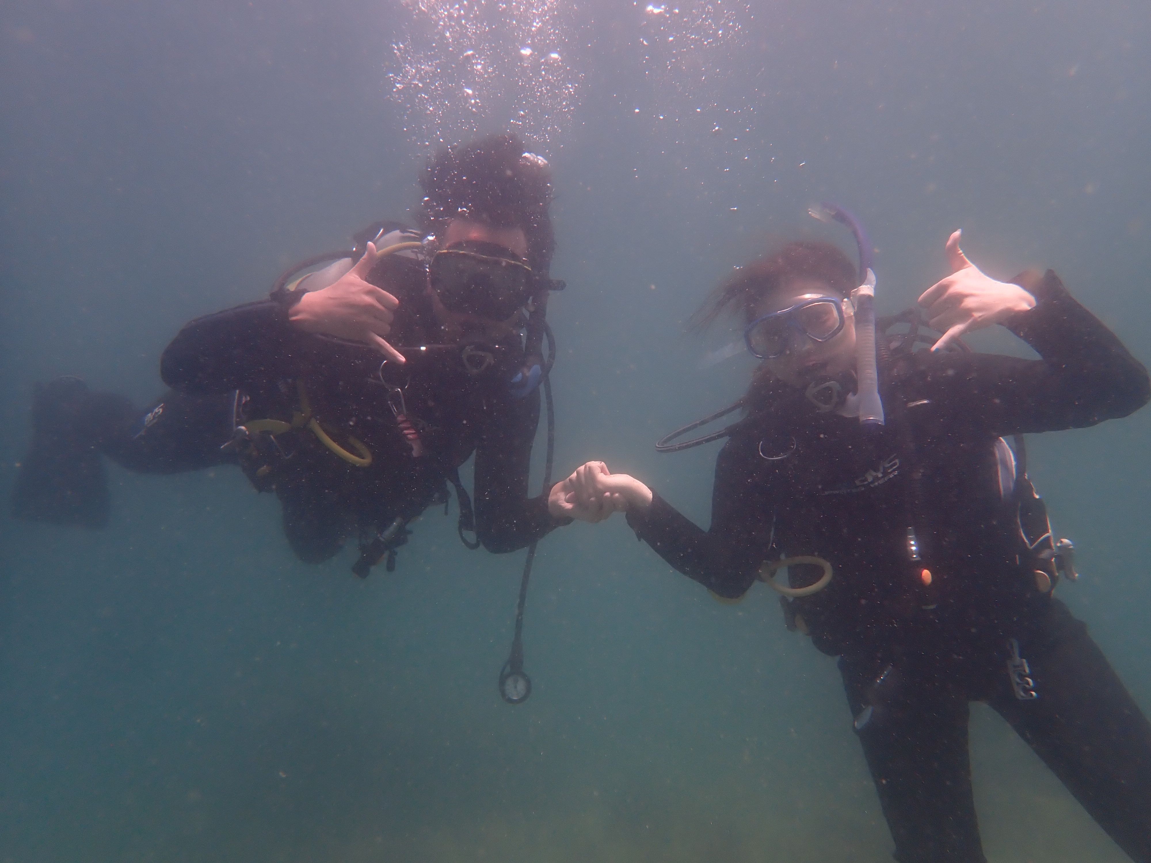 【祝・OWD認定！】三浦の海に新しいダイバーが誕生！海学講習最終日レポート