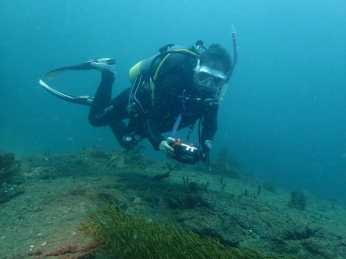 三浦・宮川湾で中性浮力の練習をするダイバー