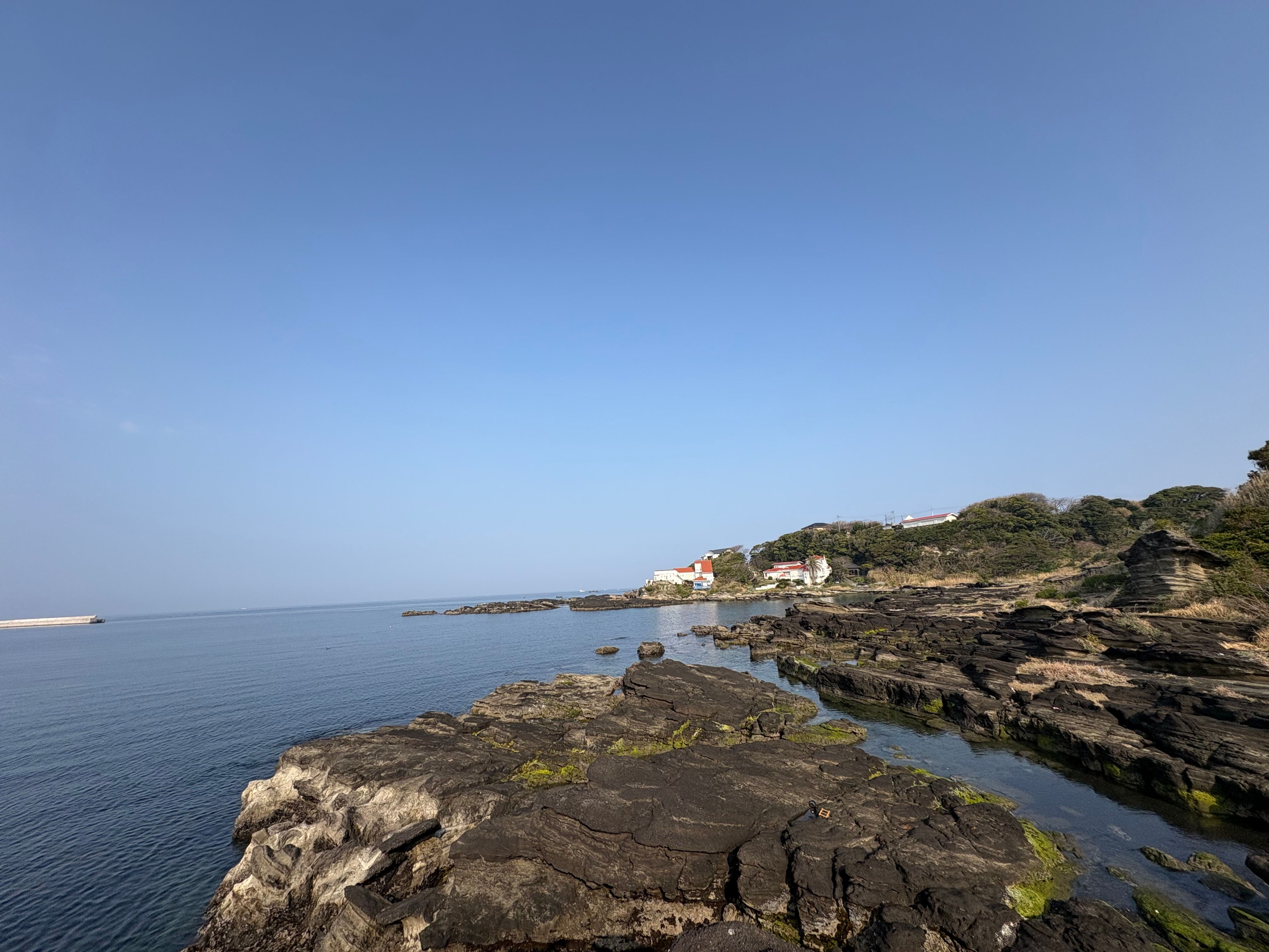 4月、新しいことを始めよう——この春ダイビングを始める5つの理由｜神奈川・三浦