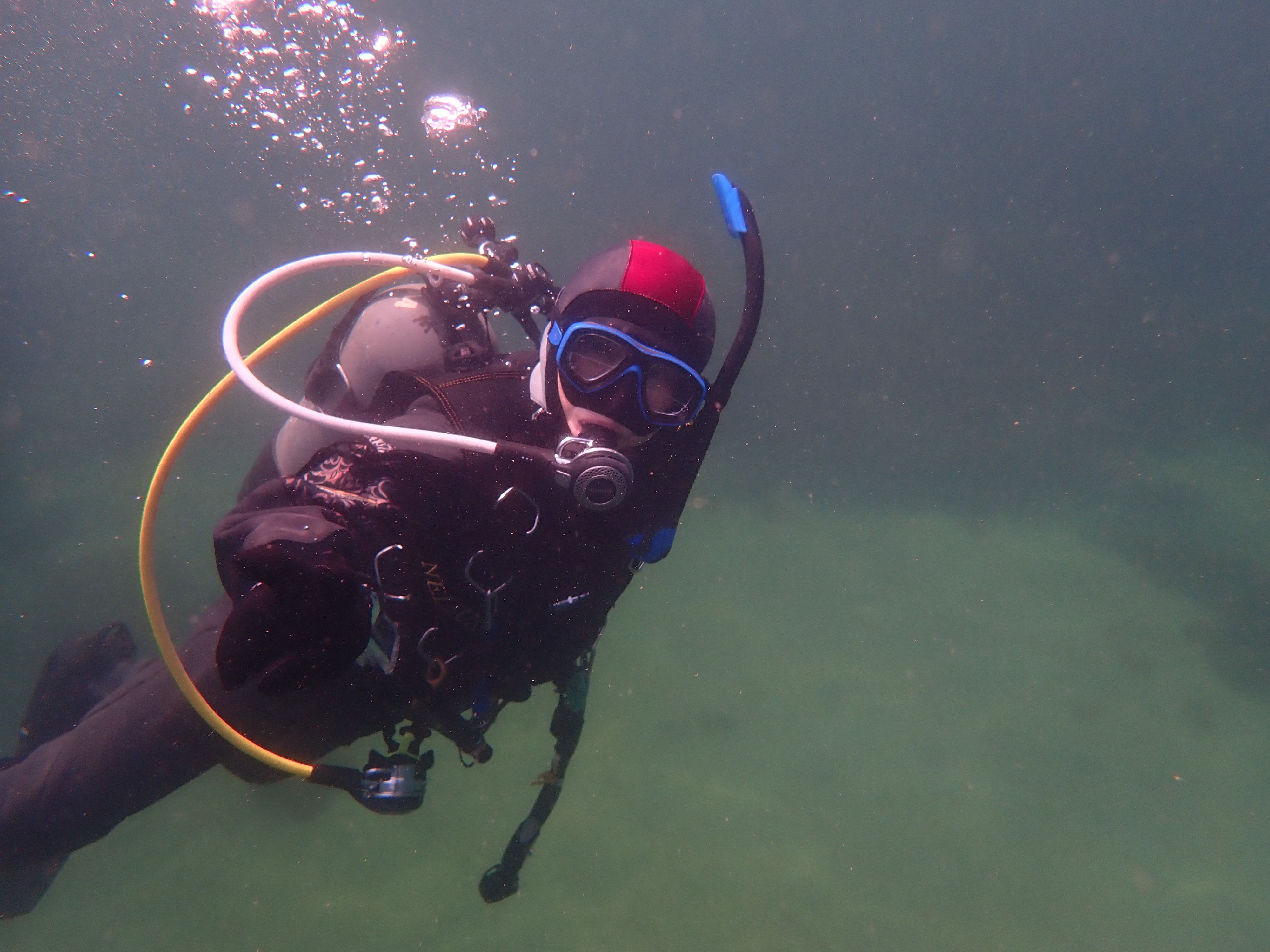 ダンゴウオ探しとレアなウミウシ——三浦ビーチダイビング春のログ