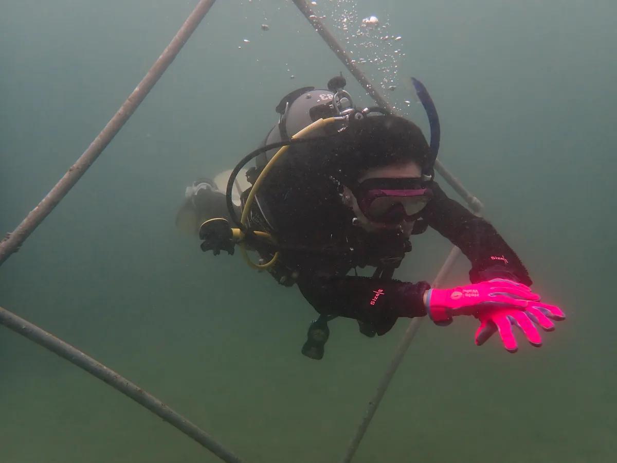 三浦の海でホバリングの練習をするダイビング講習の受講生