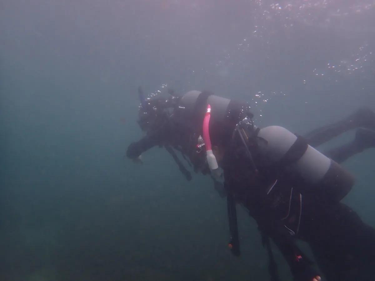 コンパスを構えて水中ナビゲーションの練習をする、三浦の海のダイバー2人