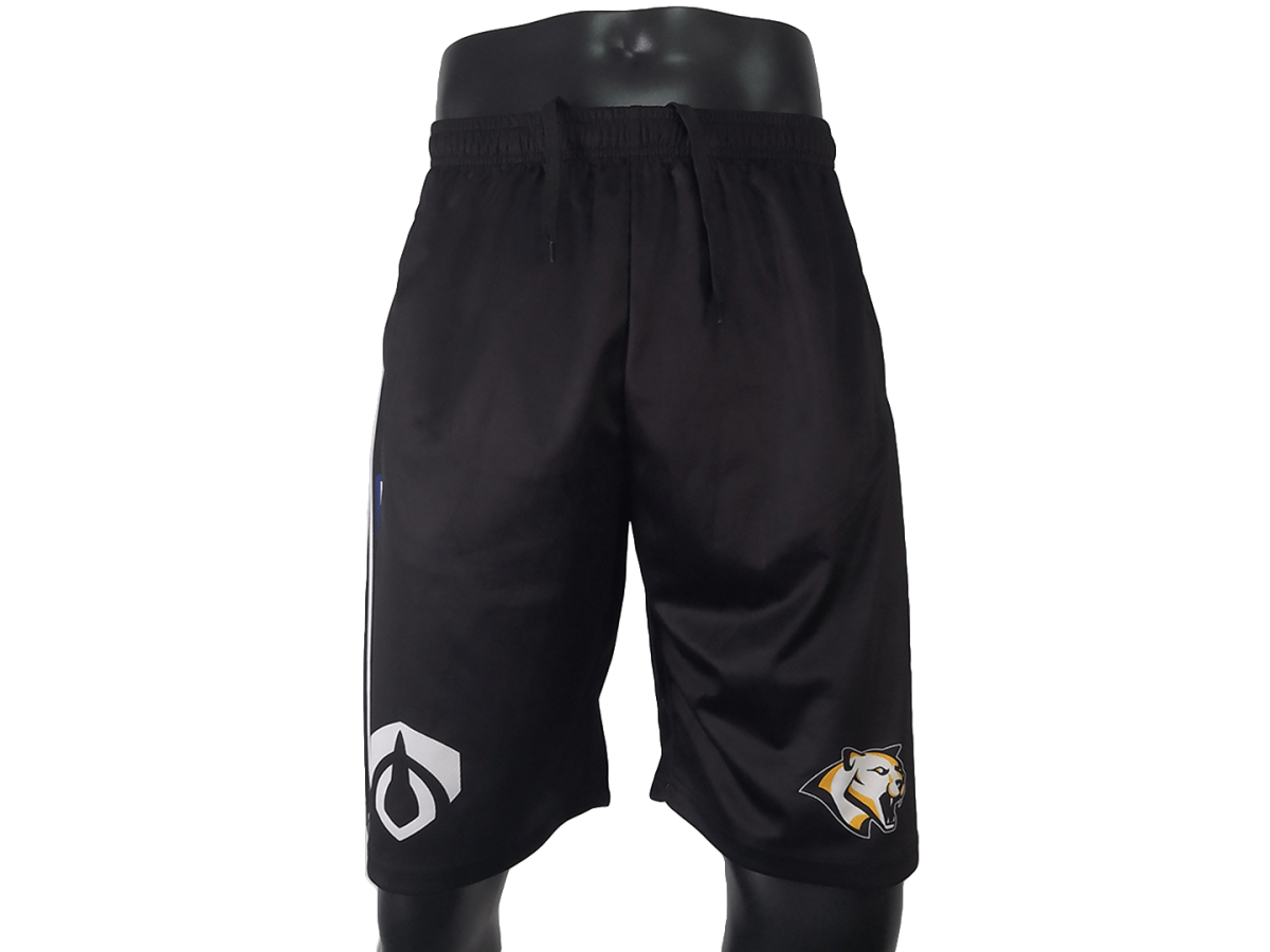 Custom Baseball Training Shorts