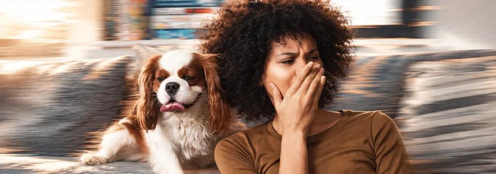 Bad breath in dogs By Nuzzy.