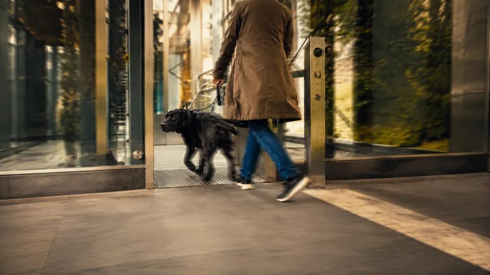Dog entering an elevator by Nuzzy 