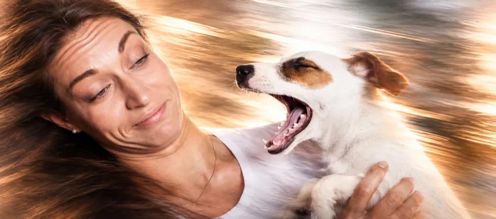 Dog-dental-care-india by Nuzzy