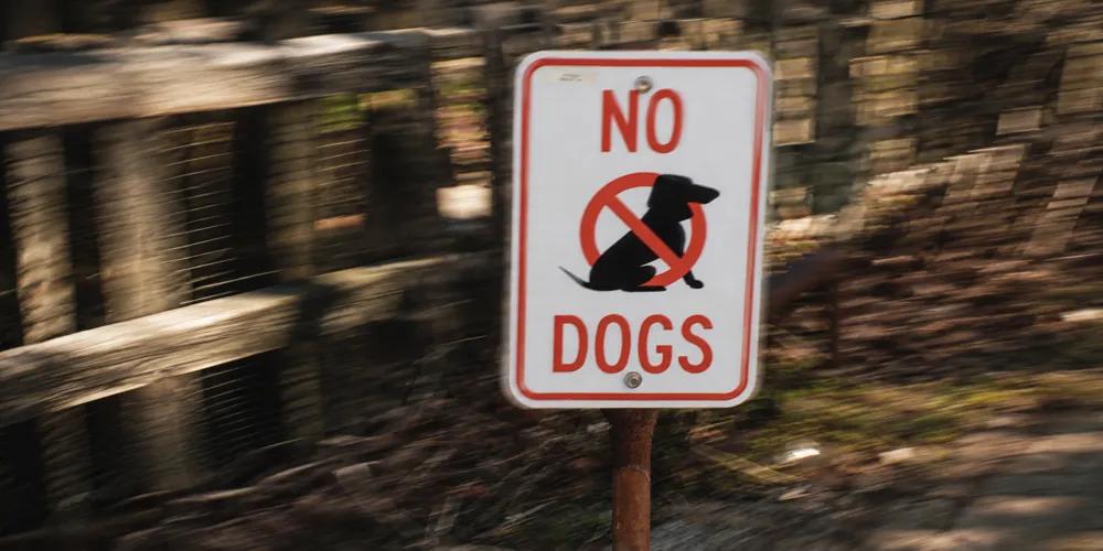 Banned Dogs in Indian Society by Nuzzy 
