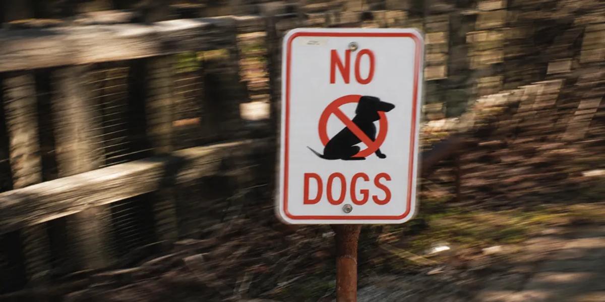 Banned Dogs in Indian Society by Nuzzy