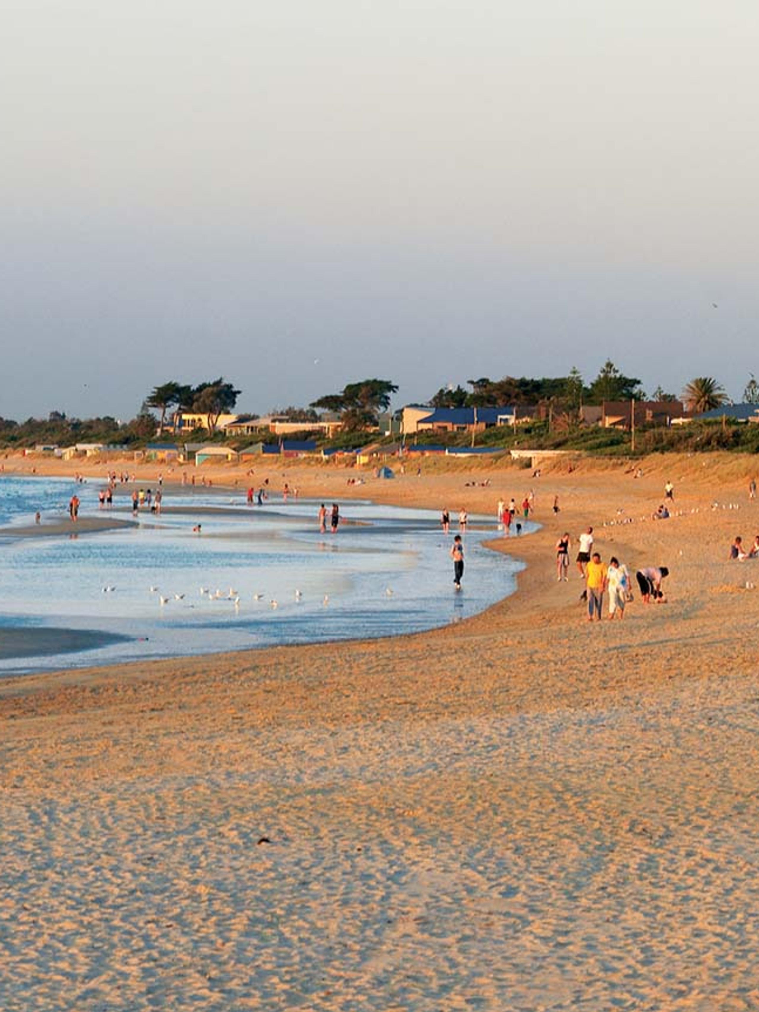 Frankston beach scene with lots of bathers enjoying their day