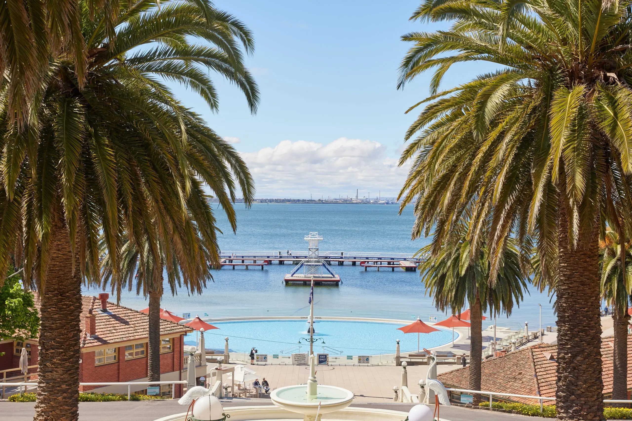 Waterfront scene in Geelong, framed by two palm trees on the left and right hand sides