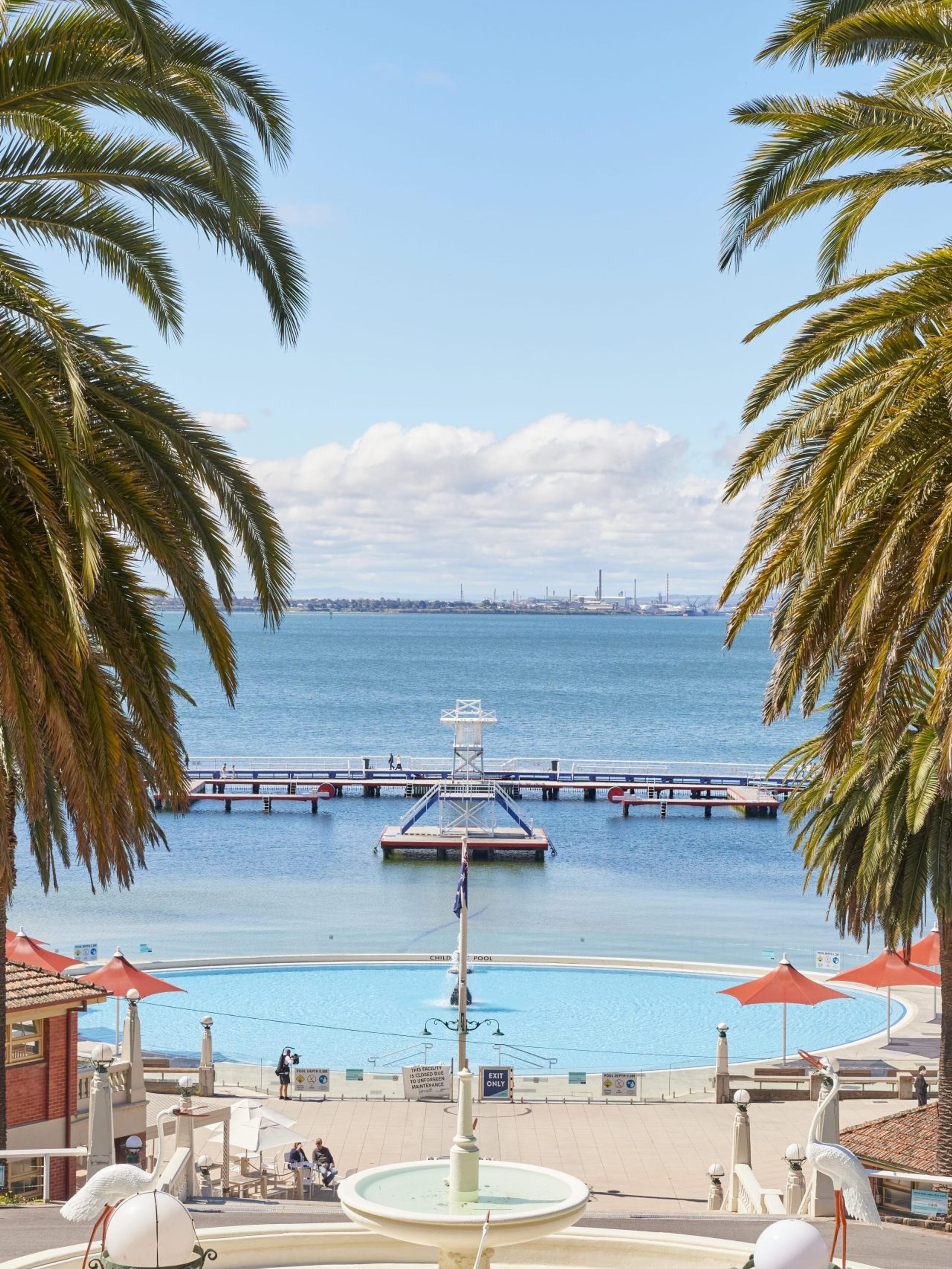Waterfront scene in Geelong, framed by two palm trees on the left and right hand sides