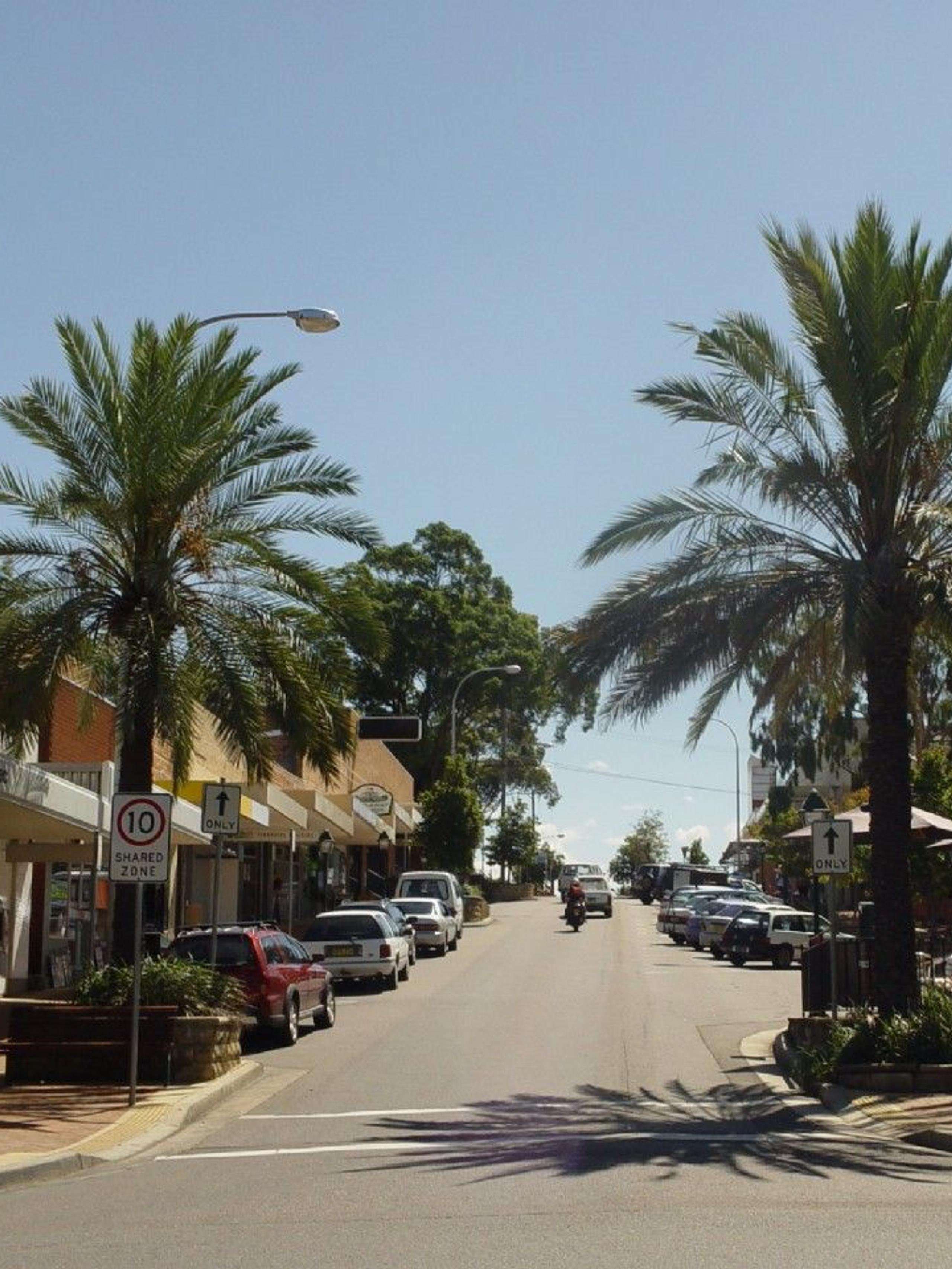 Simple street with palm trees on either side
