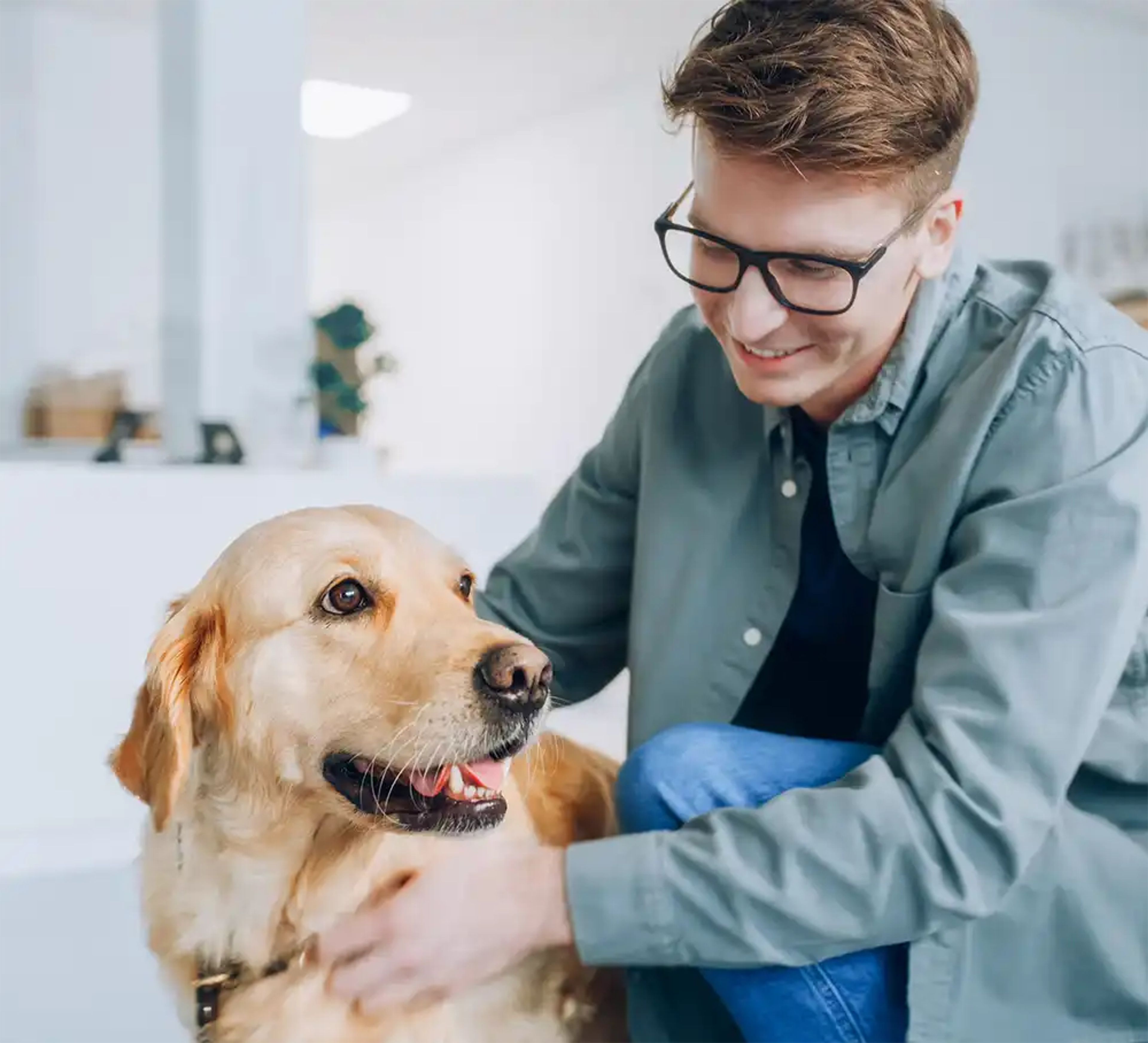 A young vet with a dog in a clinical setting