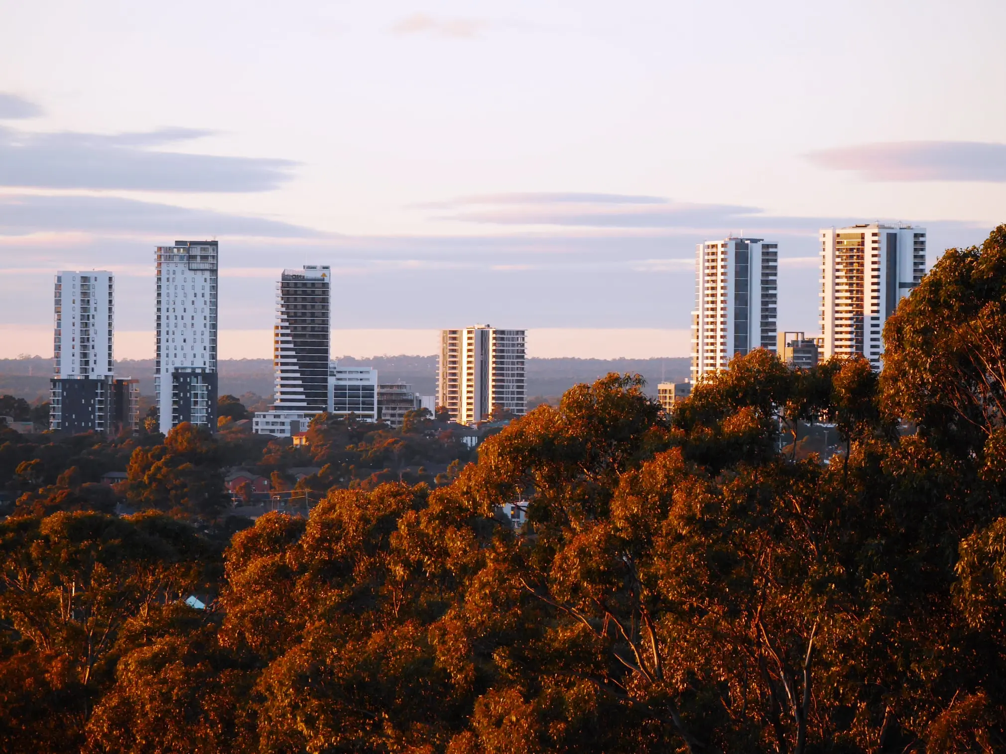 Landscape view of Liverpool with trees in the foreground and tower blocks in the distance