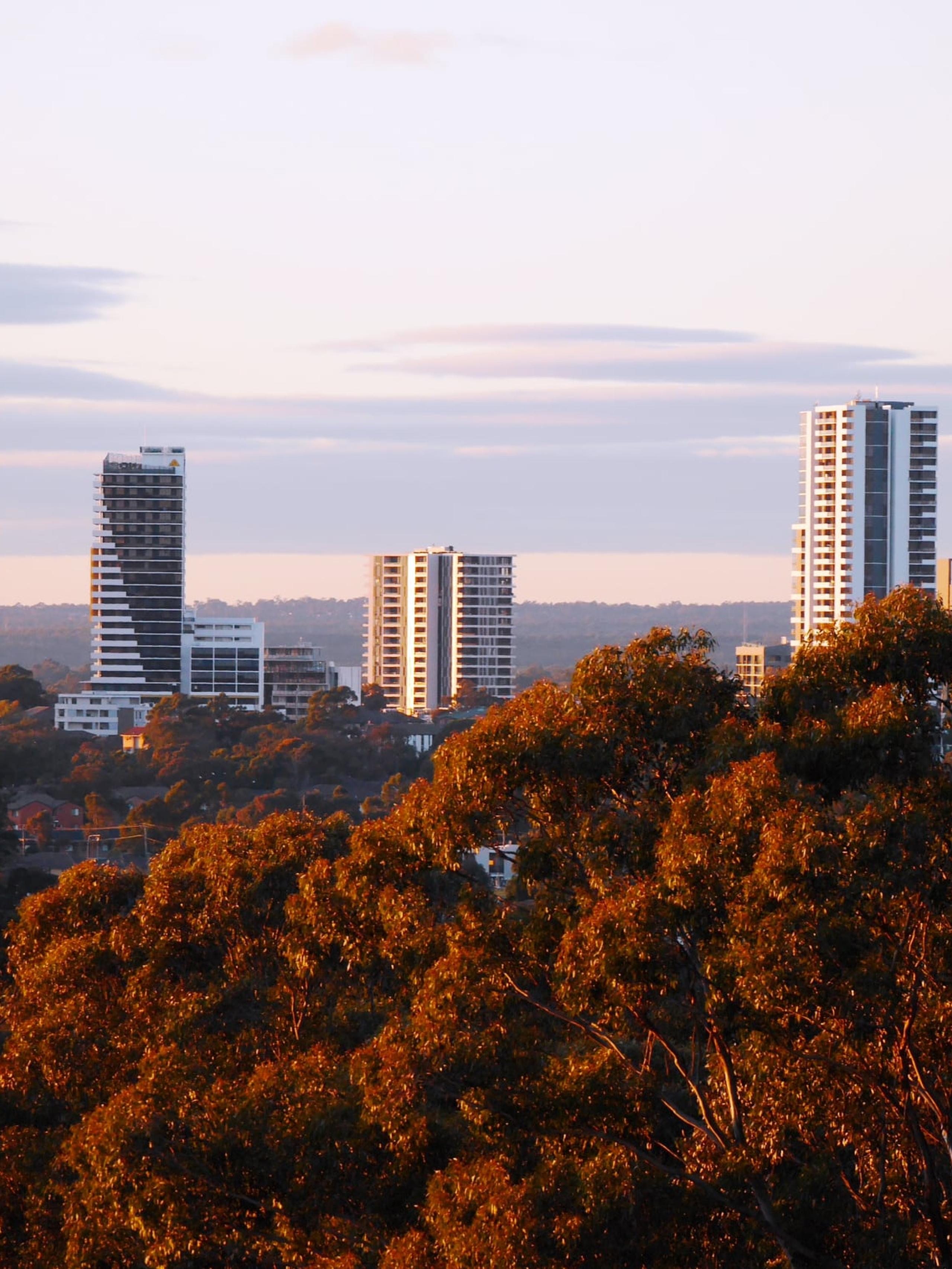 Landscape view of Liverpool with trees in the foreground and tower blocks in the distance