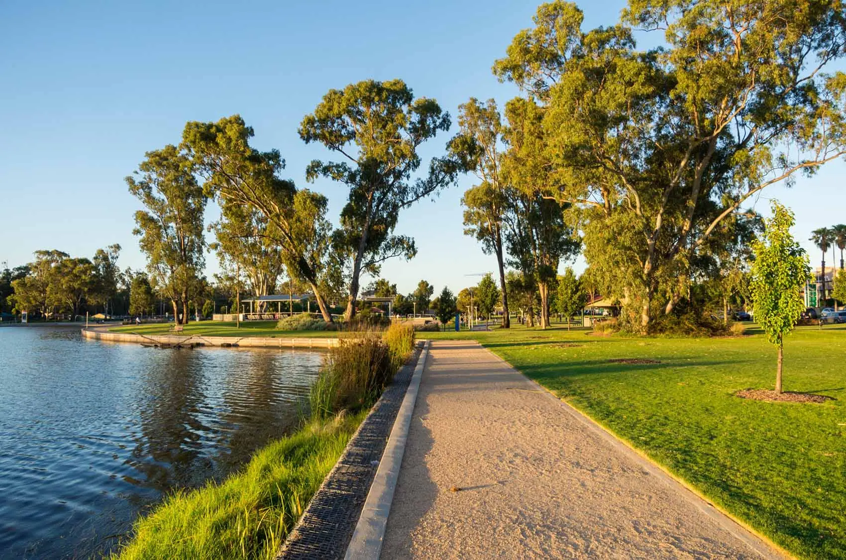 A park scene on a summer morning in Shepparton