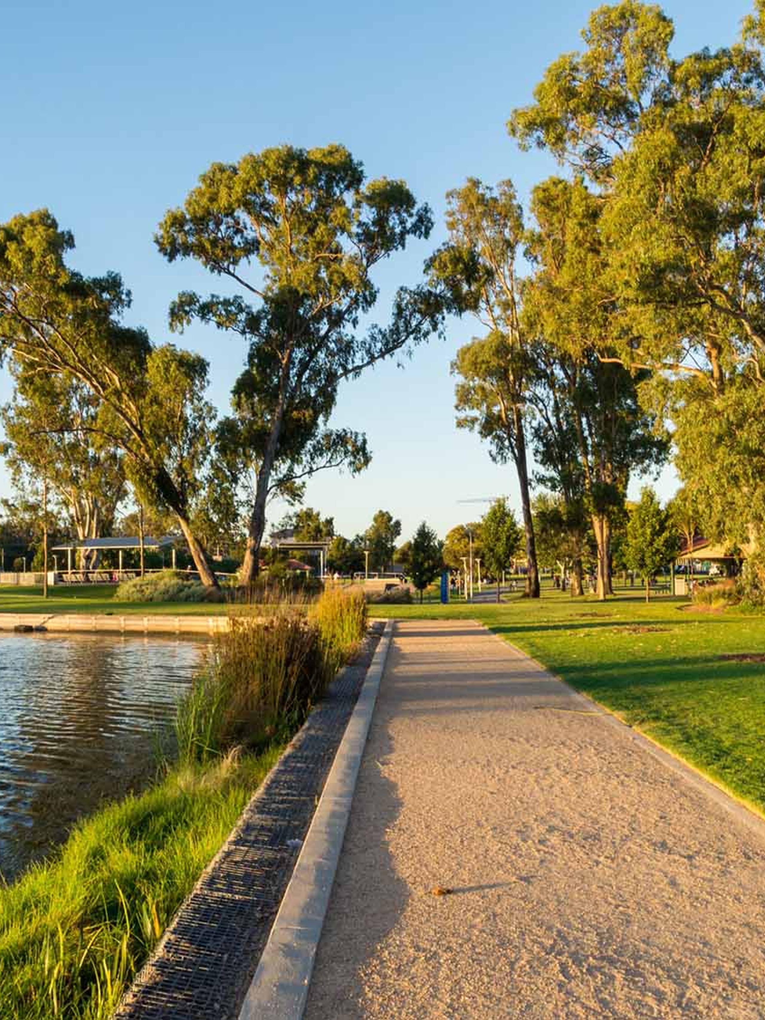 A park scene on a summer morning in Shepparton