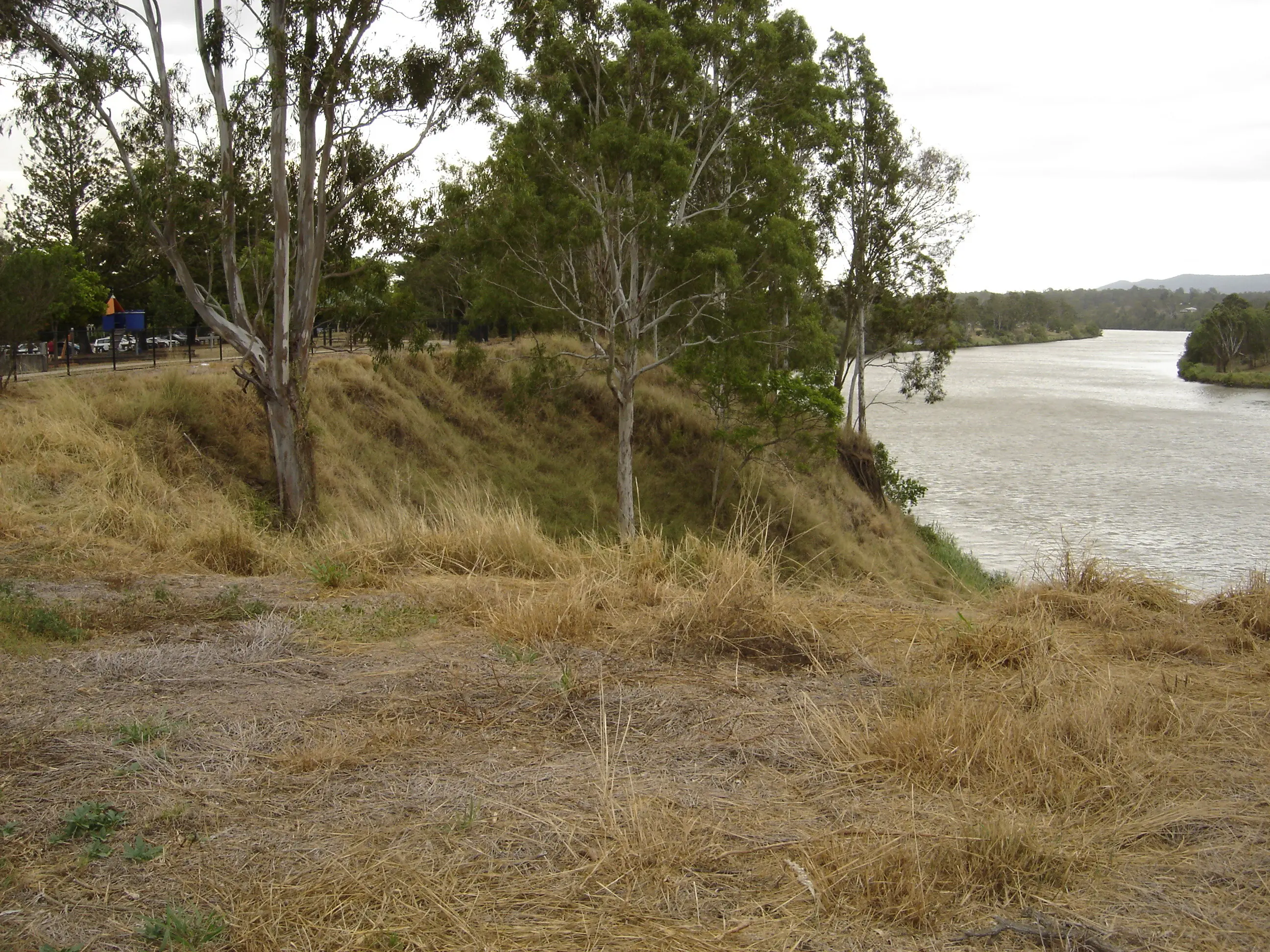 Riverbank in Goodna