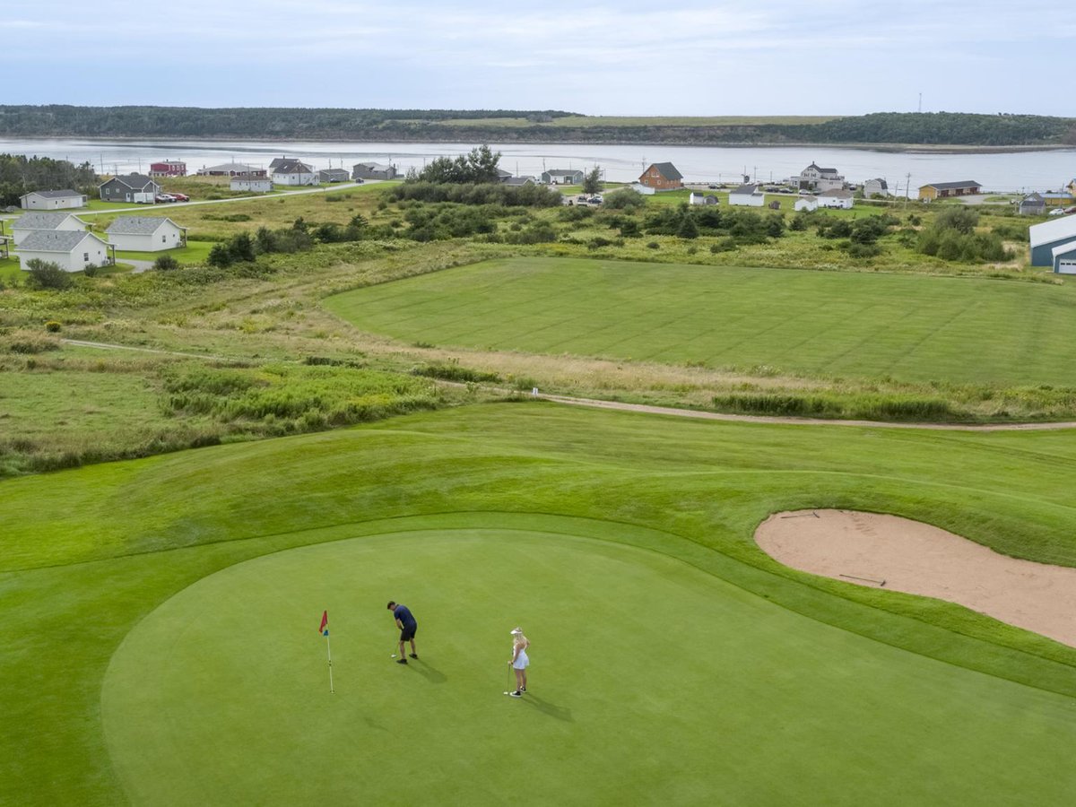 Aerial view of a green