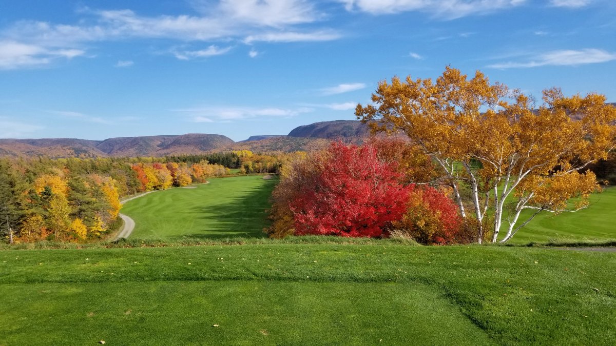 Tenth hole tee