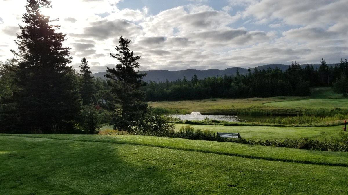 Tee box