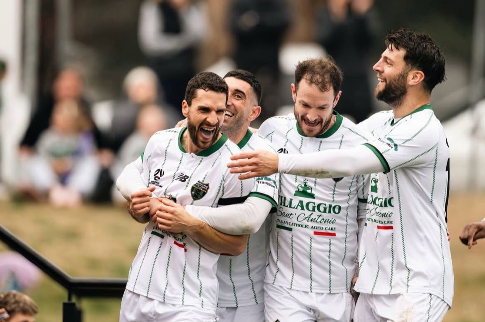 Three hat-tricks, seven goals in 13 minutes and Tigers keep roaring