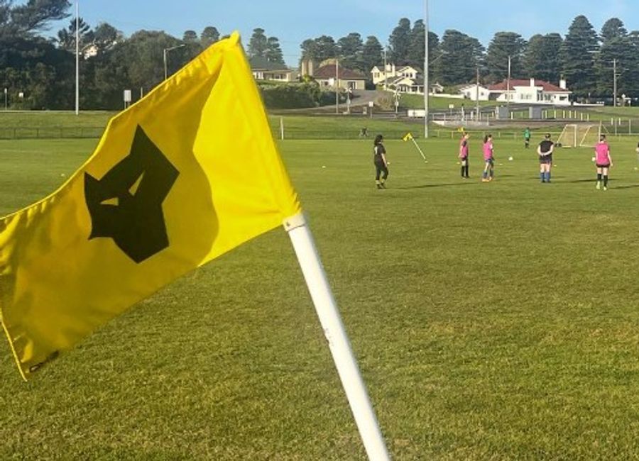 Lengthy bans hands down in two tribunal decisions, including an 18-match suspension