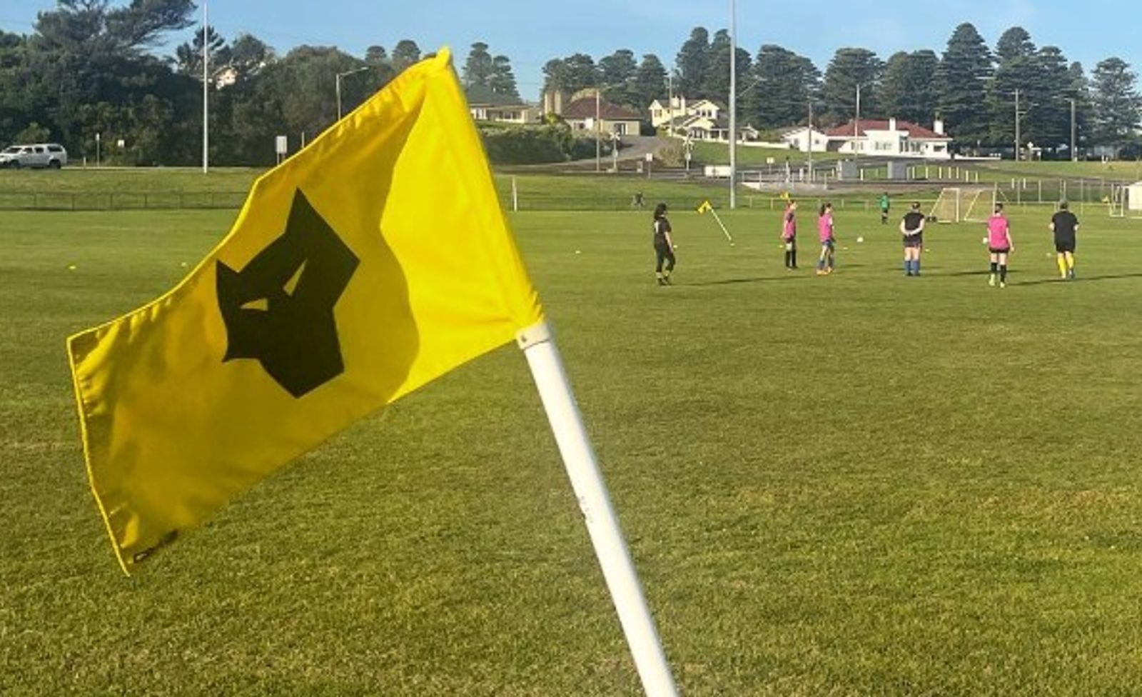 Lengthy bans hands down in two tribunal decisions, including an 18-match suspension