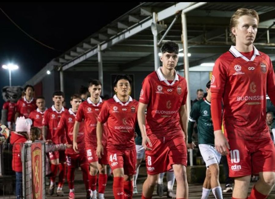 Wollongong Wolves are going national. There’s just one problem - they have nowhere to play