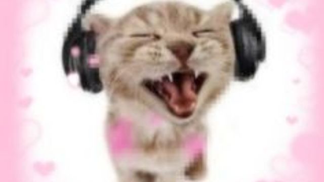 BUG KID'S AWESOME PLAYLIST