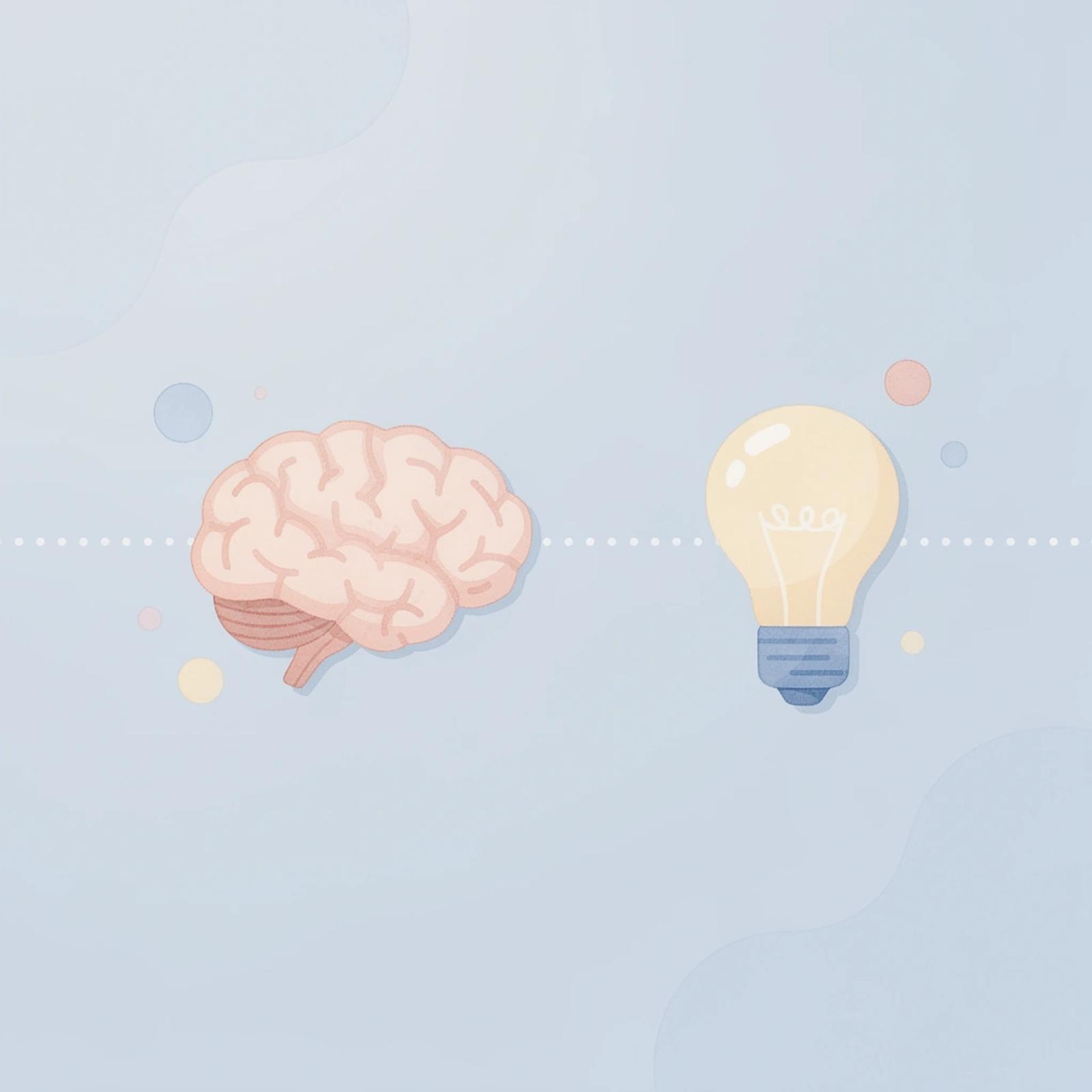 Connection between UGC creators and brand opportunities