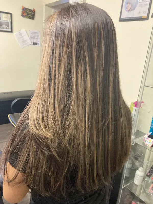 Back of a person’s head with long, straight hair. The hair is cut in a simple, straight style with minimal layering, reaching down to the mid-back.