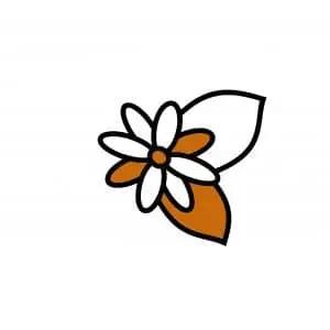 Strichzeichnung der Blume Johanniskraut