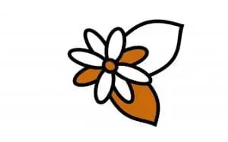 Strichzeichnung der Blume Johanniskraut