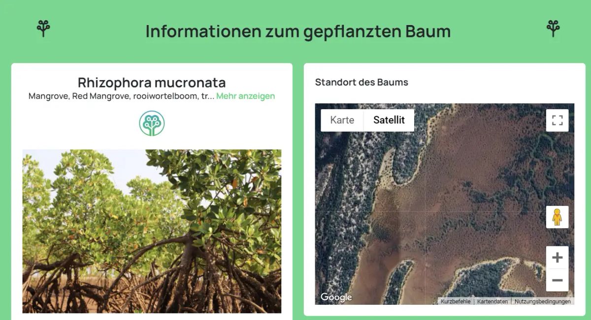 Log mit zwei Bildern von Tree-Nation