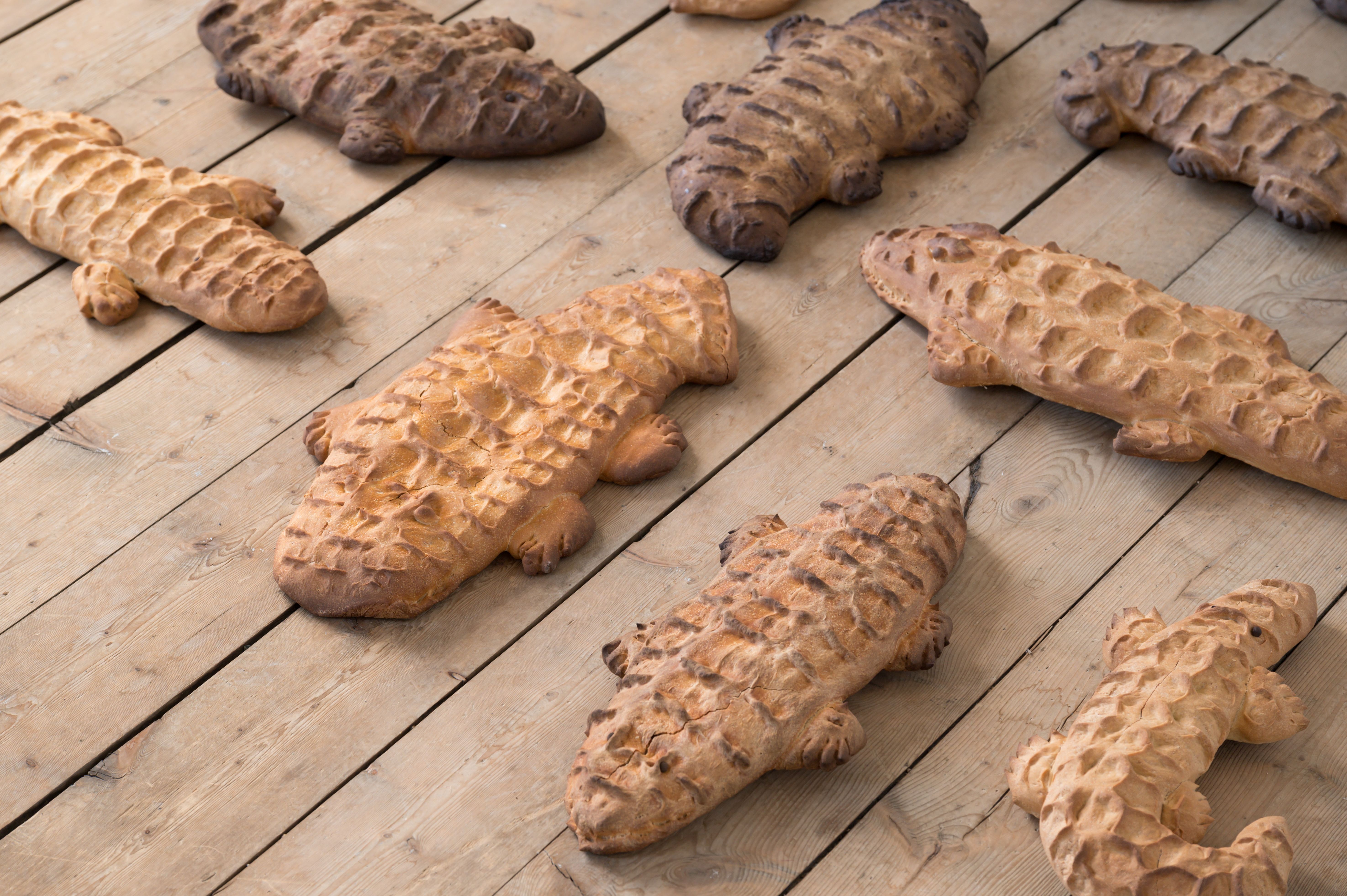 I am building an archive of bread | Contemporary Art Stavanger