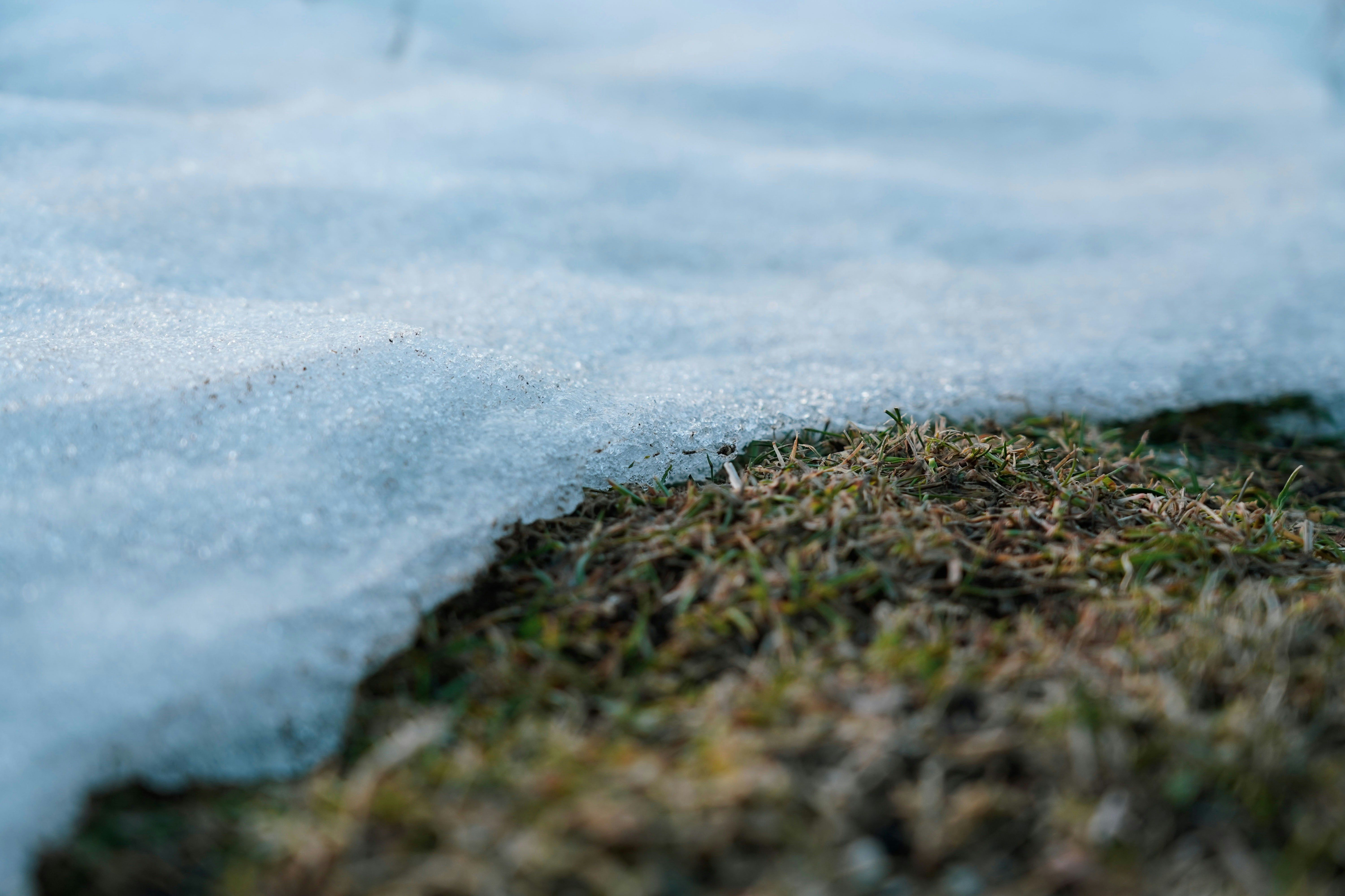 snow on grass