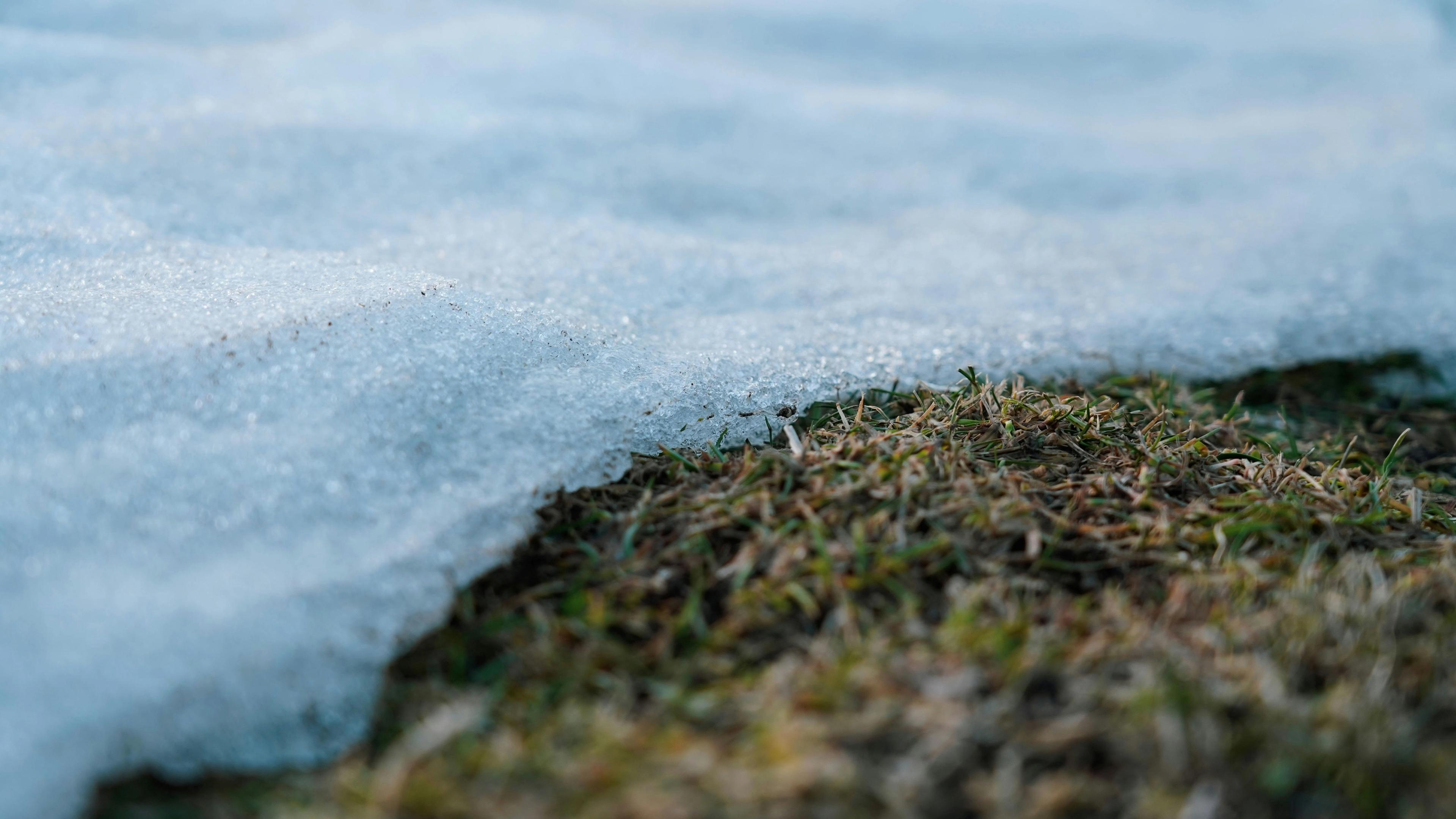 snow on grass