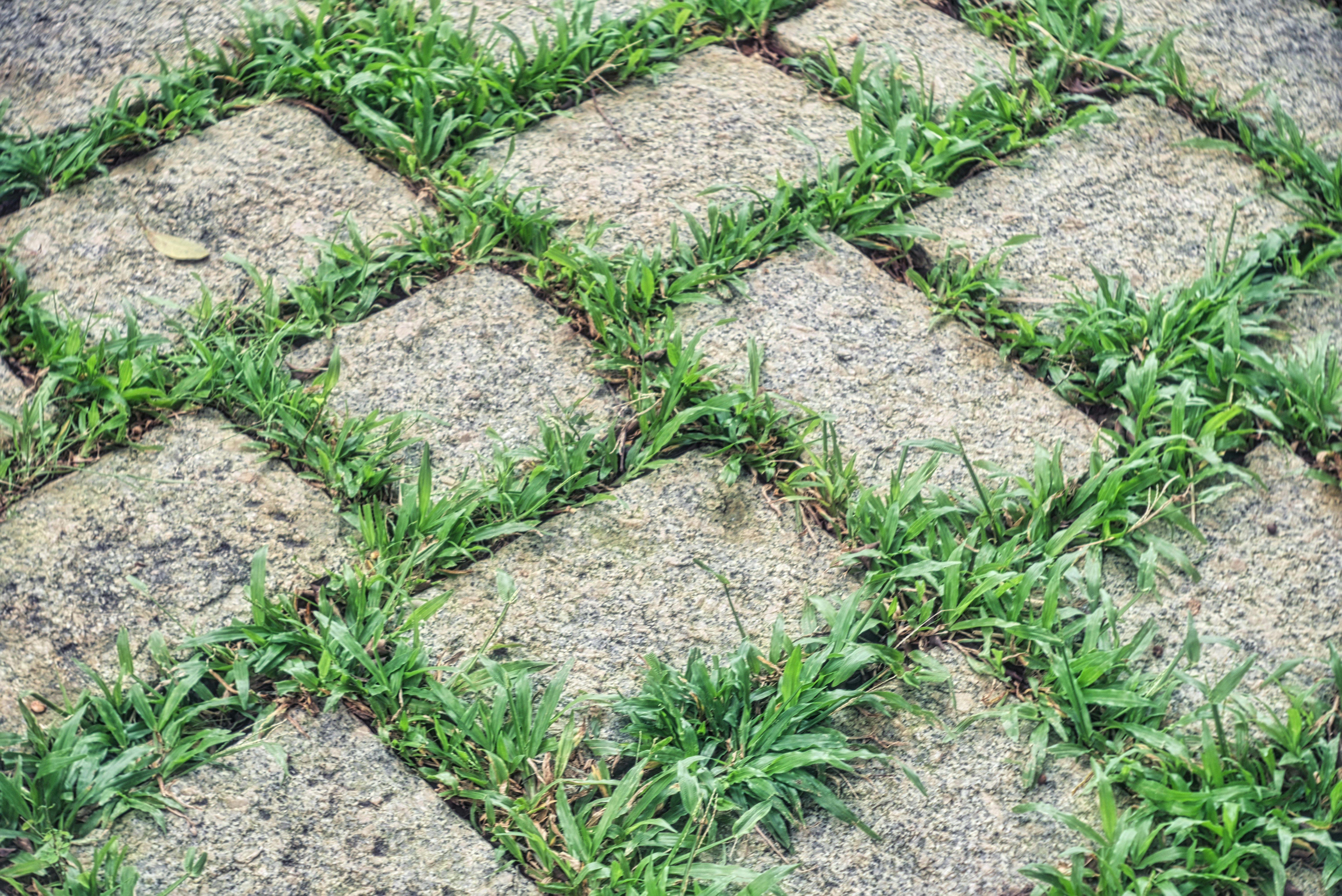permeable pavers up close