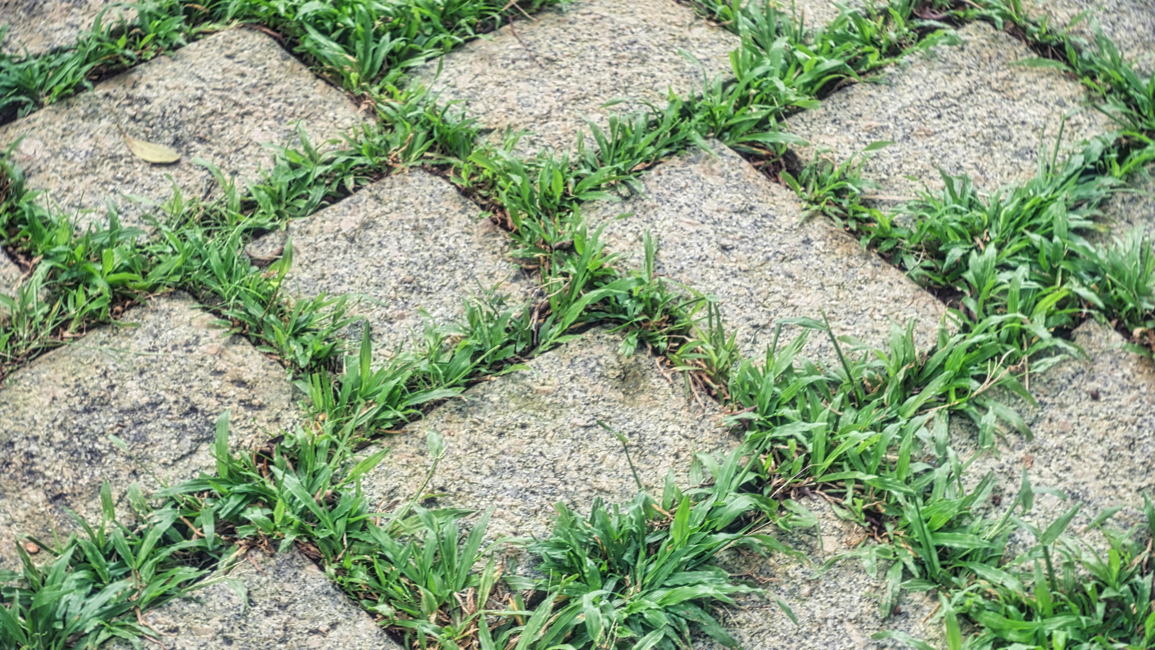 permeable pavers up close