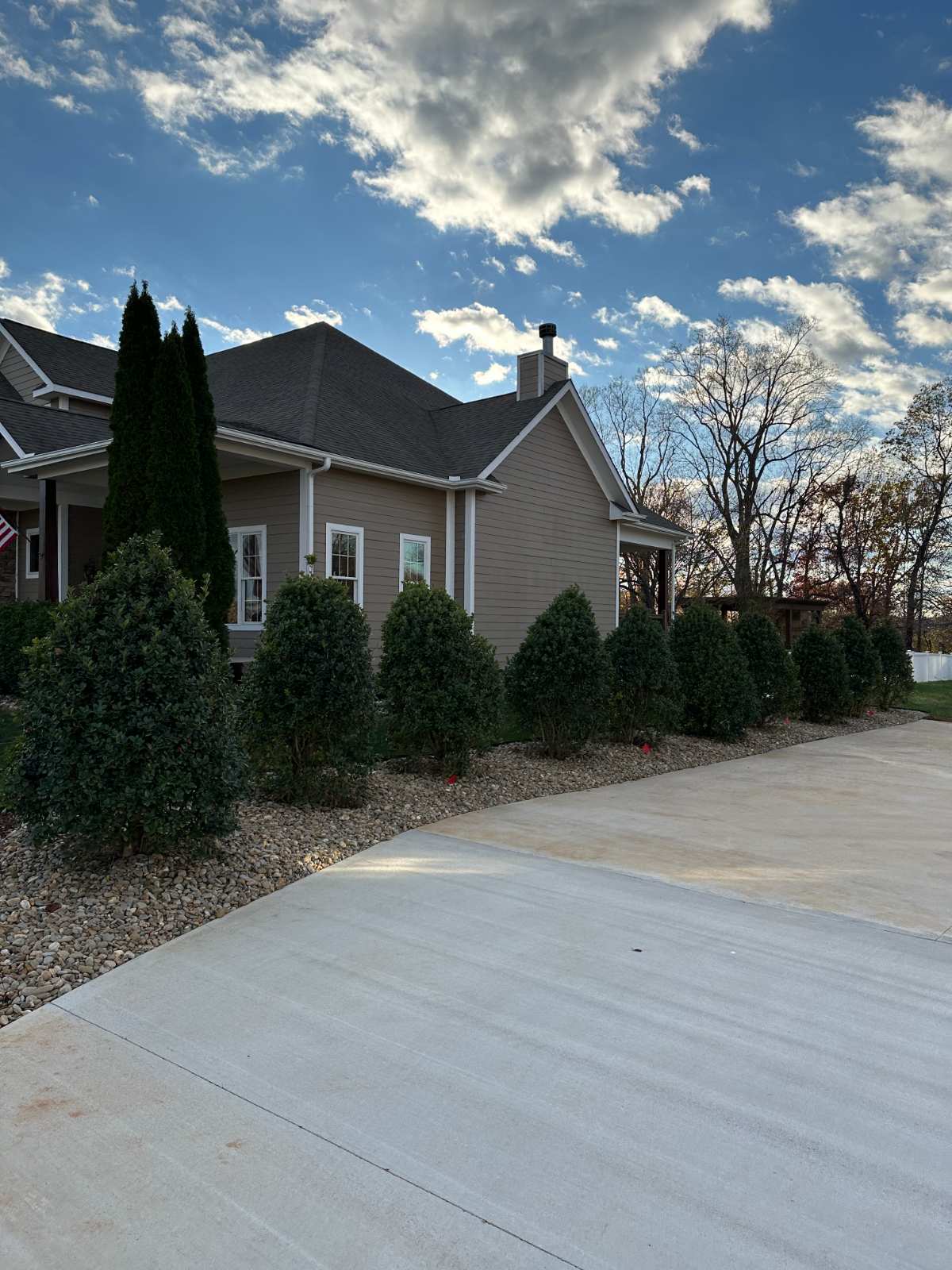 Shrubs outside home