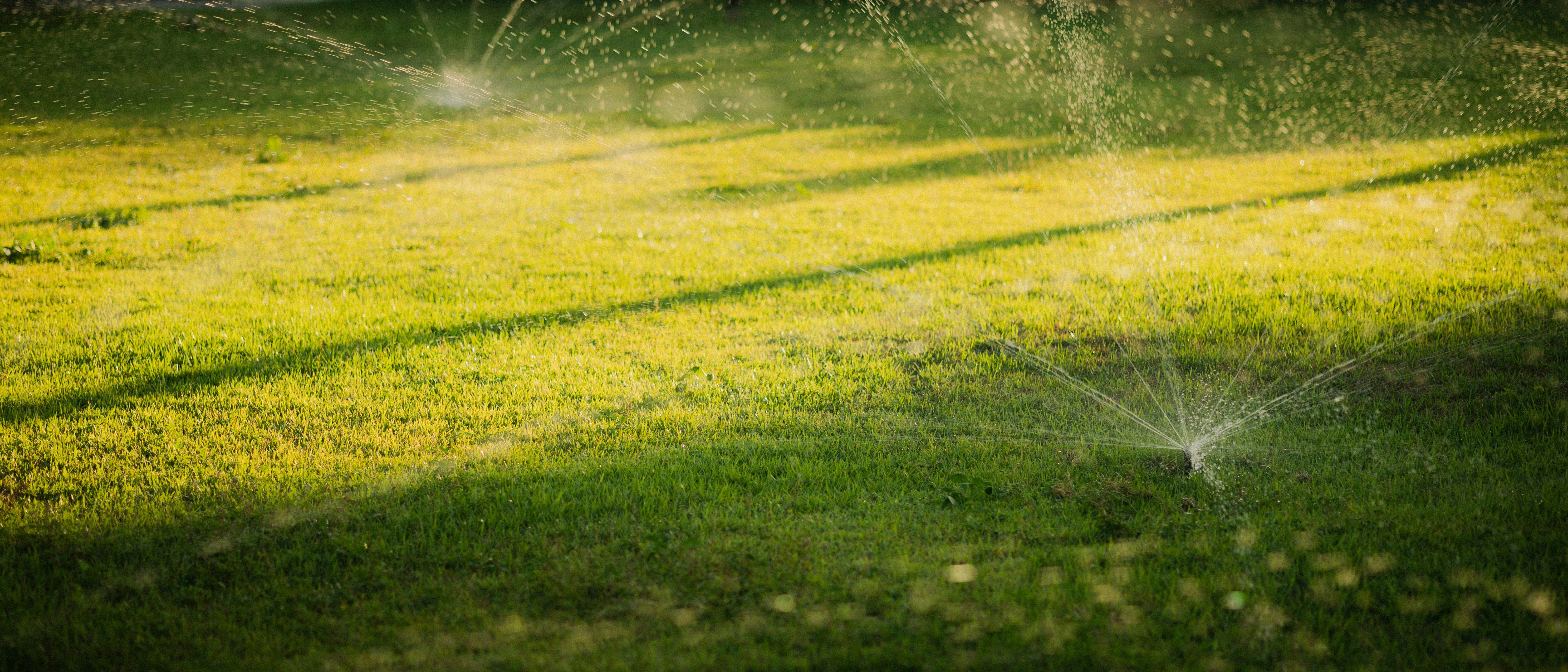 Lawn sprinkler irrigation system