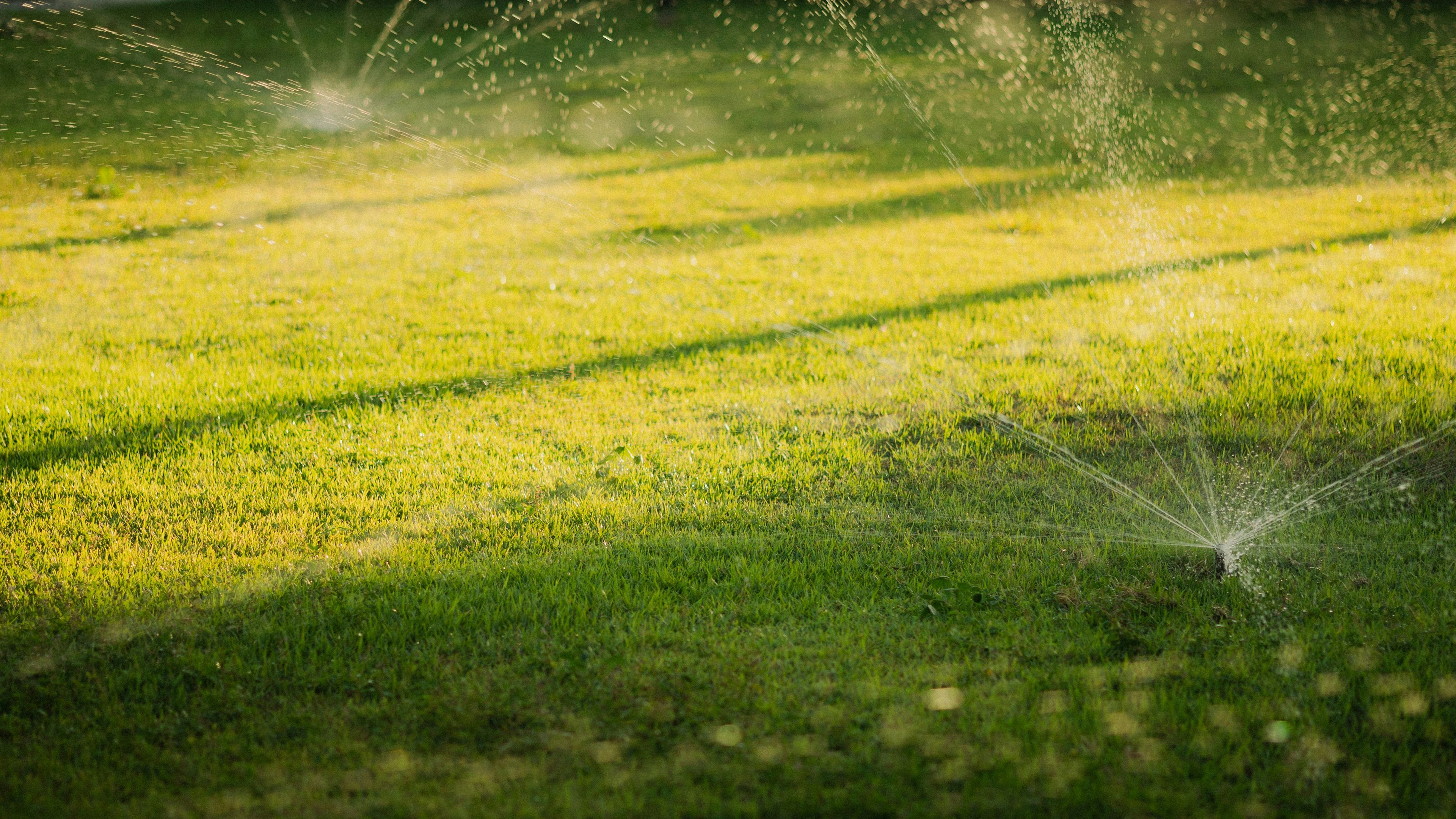 Lawn sprinkler irrigation system