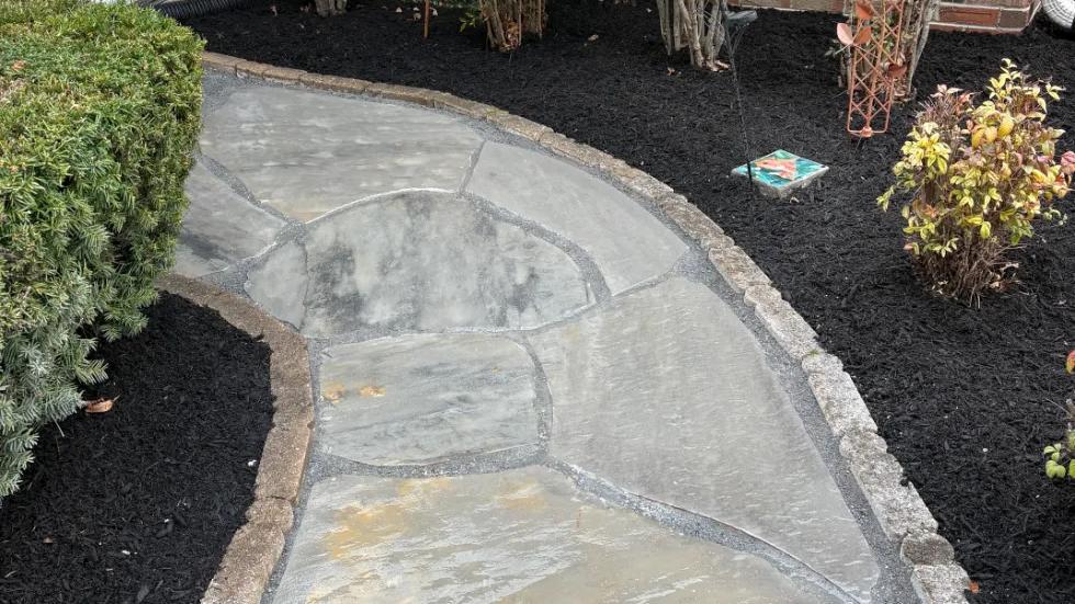 Walkway surrounded by mulch