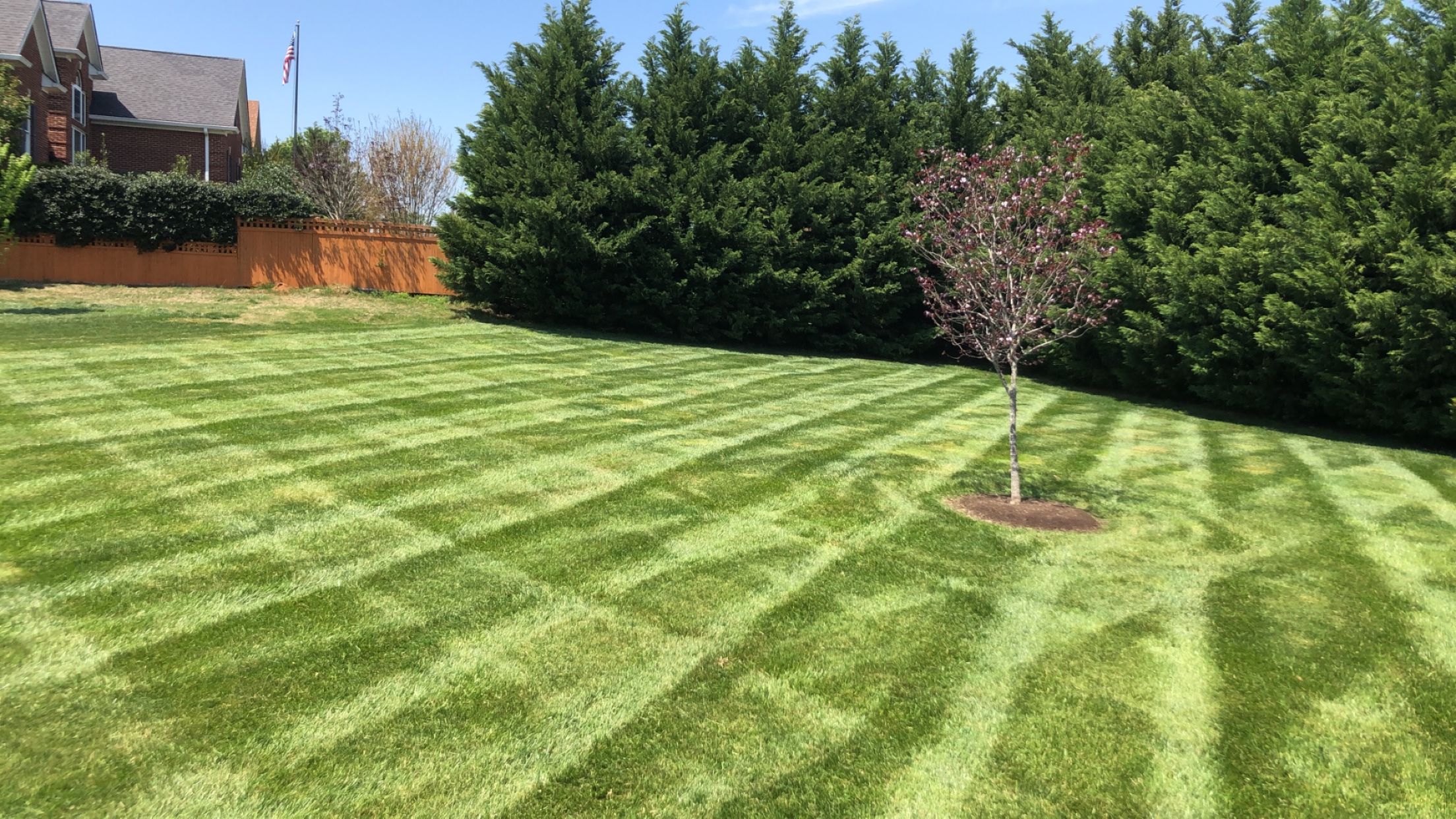 Nicely trimmed bright-green grass in backyard