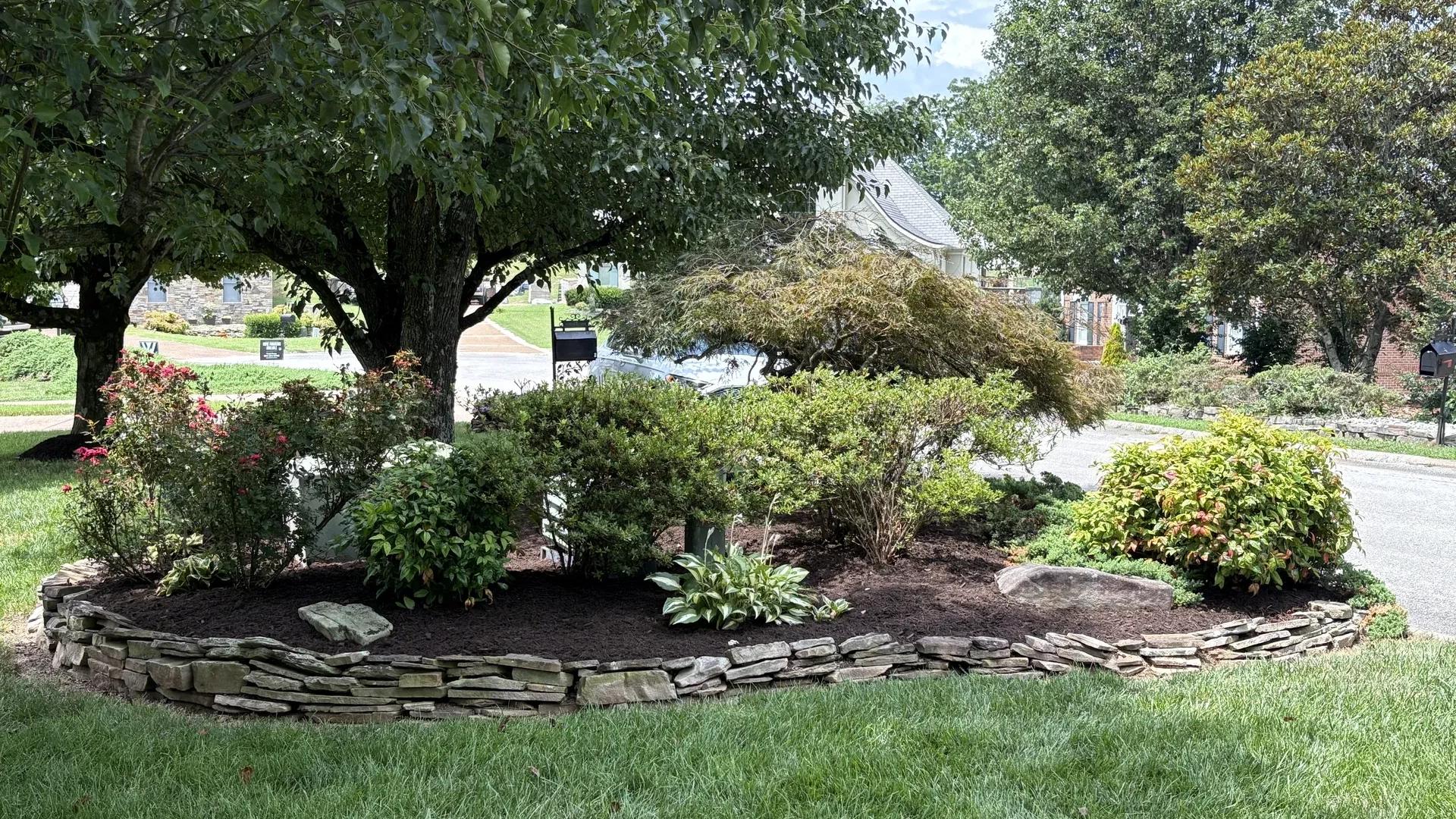 Plants and flowers in a mulched area
