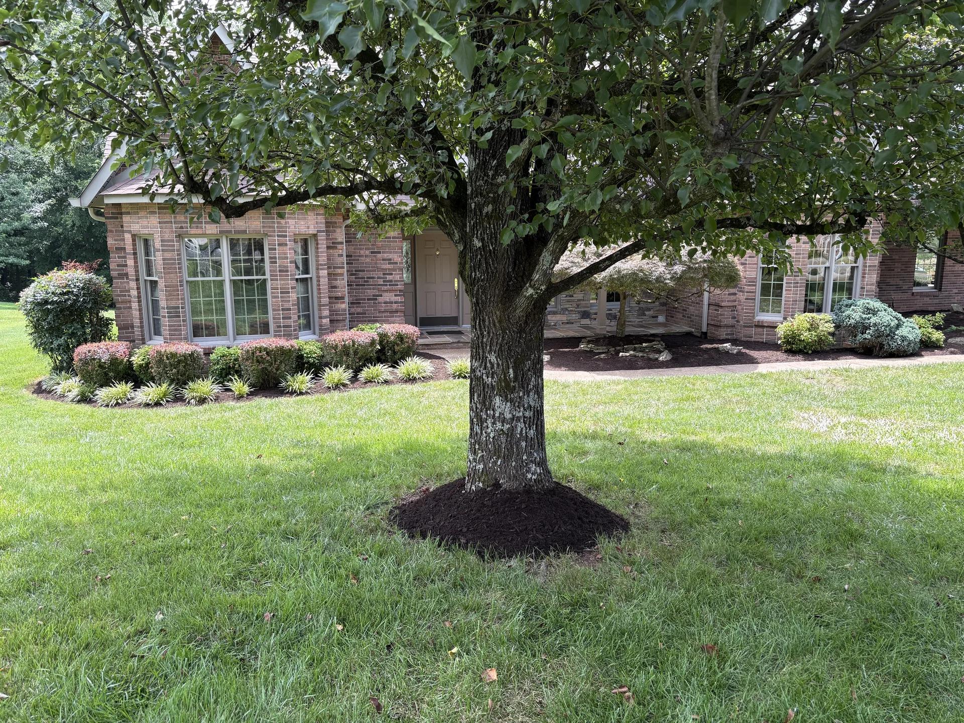 Front lawn landscaping 
