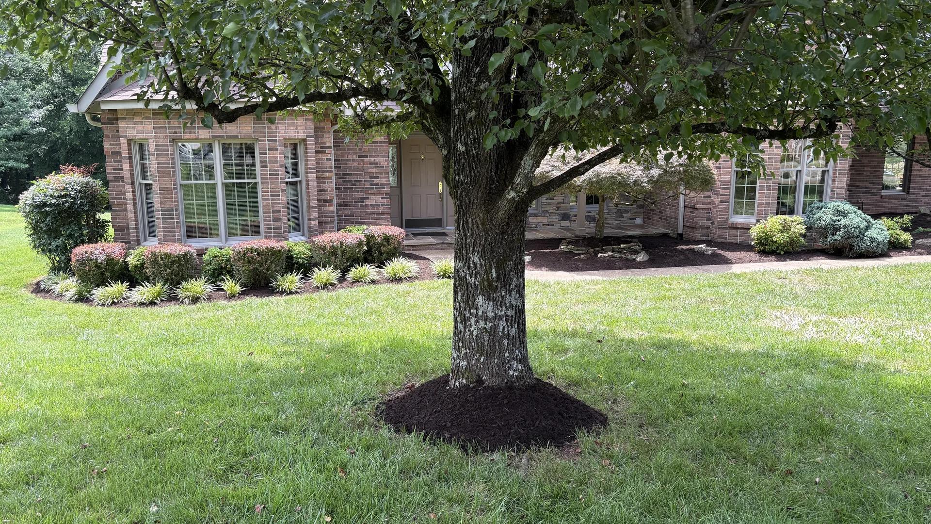 Front lawn landscaping