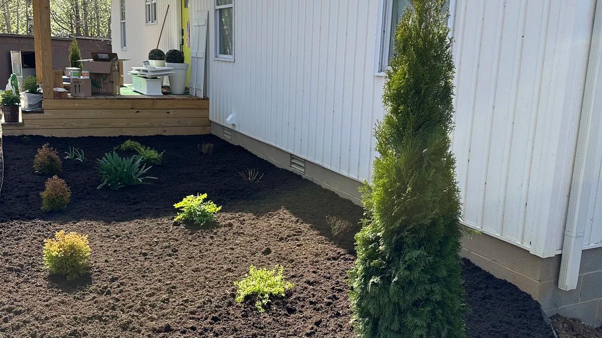 Mulched area with plants and shrubs